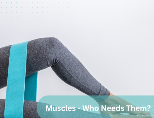 MUSCLES – WHO NEEDS THEM?